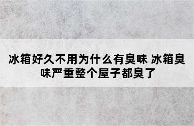 冰箱好久不用为什么有臭味 冰箱臭味严重整个屋子都臭了